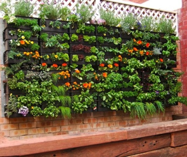 1-decoracion-con-jardines-verticales